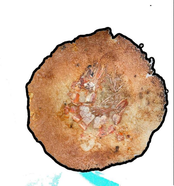 【宇部新川・小野田・厚狭発】旬の宗像・鐘崎で水揚げされたあなごを愉しむあなご尽くし膳と宮地嶽神社風鈴の天の川 日帰り2